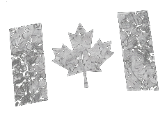 Stone-textured Canadian flag